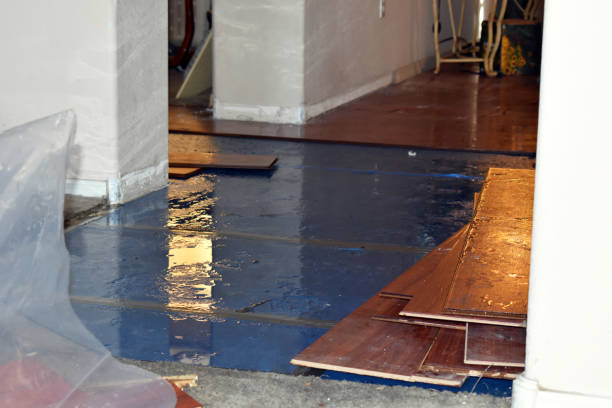 Professional Water Removal technician working in Preston, OK